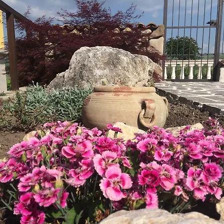 I Tre Ulivi Farm stay