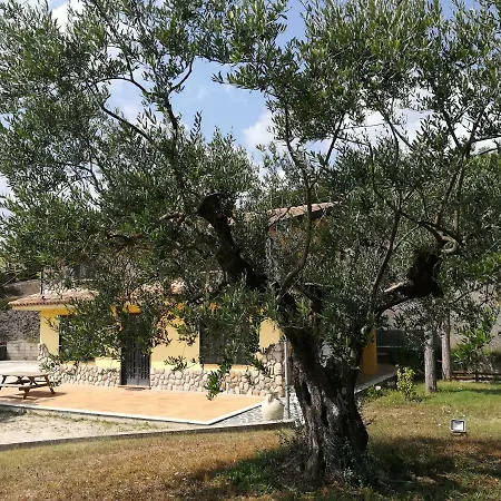I Tre Ulivi Paternopoli